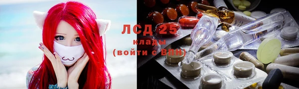 индика Волосово