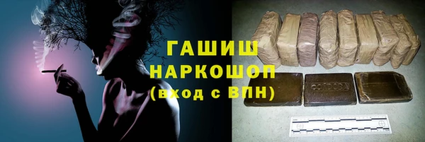 индика Волосово