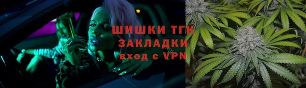 индика Волосово