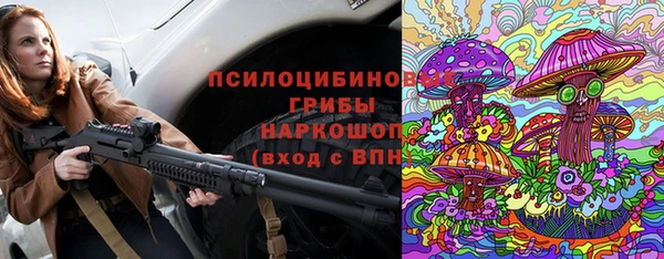 индика Волосово