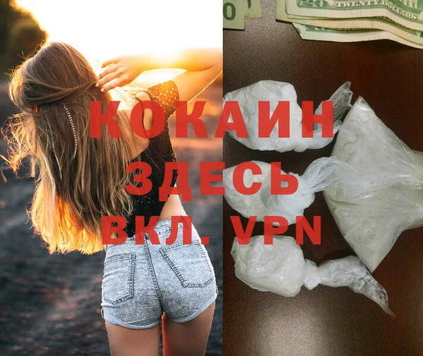 индика Волосово