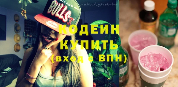 индика Волосово