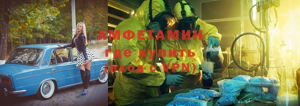индика Волосово