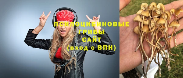 ГАЛЛЮЦИНОГЕННЫЕ ГРИБЫ Володарск