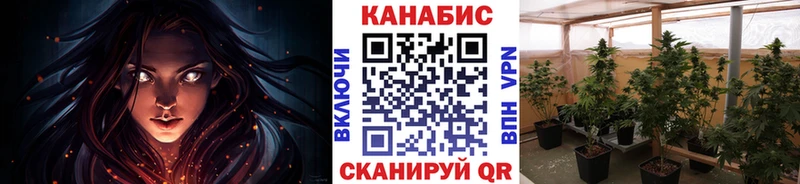 ОМГ ОМГ   shop клад  Бошки Шишки OG Kush  цена   Искитим 